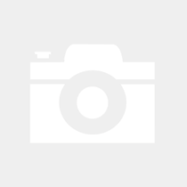 Za najbolj pozorne... Poiščite 5 skritih decembrskih mož!